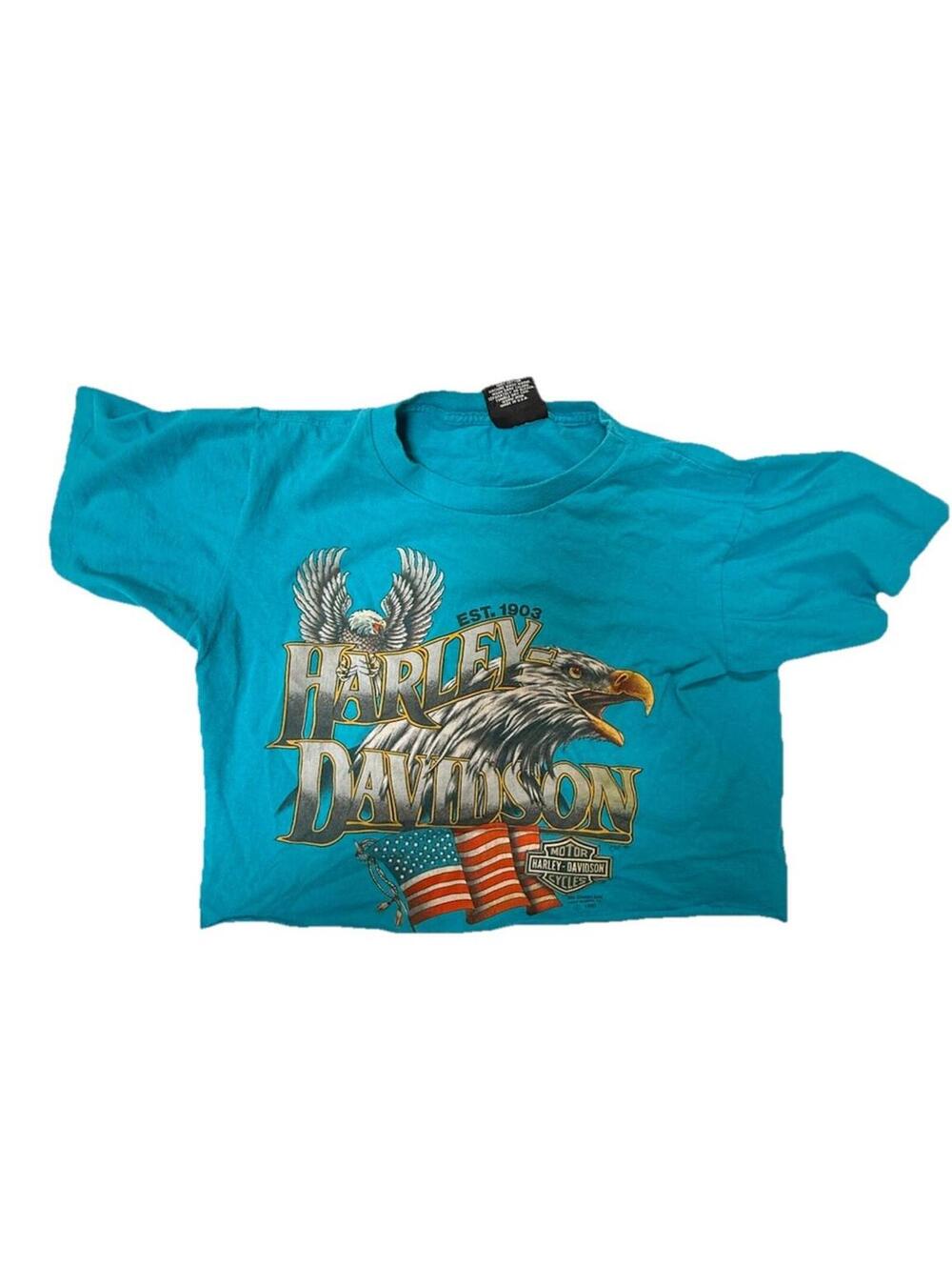 Cropped Harley-Davidson Hall's Chico CA Pride of America Medium Graphic T-Shirt